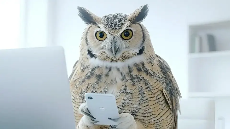 Smart owl